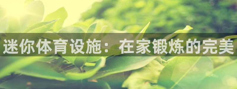 意昂体育3招商电话地址是多少：迷你体育设施：在家锻炼