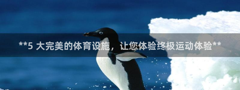 意昂体育3平台APP：**5 大完美的体育设施，让您体验终极
