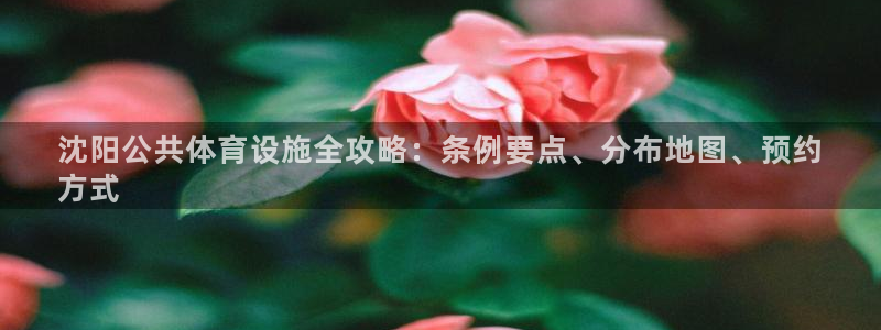 意昂体育3注册：沈阳公共体育设施全攻略：条例要点、分