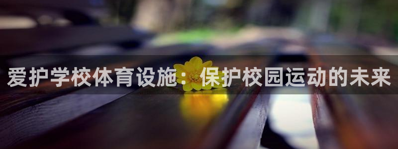 意昂3集团简介：爱护学校体育设施：保护校园运动的未来