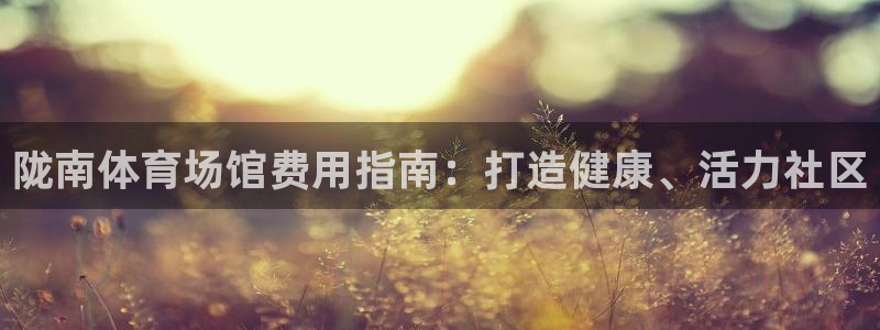 意昂体育3平台APP：陇南体育场馆费用指南：打造健康