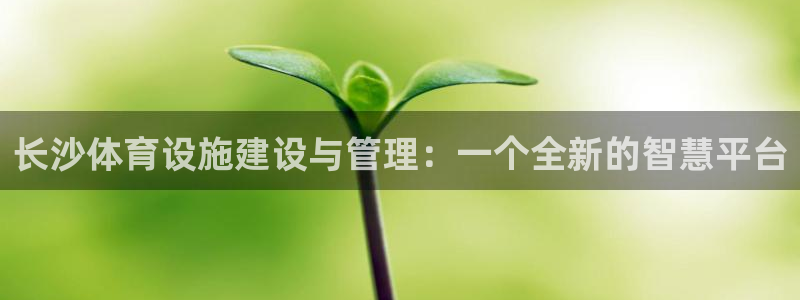 意昂体育3招商电话
