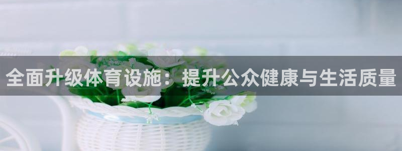 意昂体育3是干嘛的公司