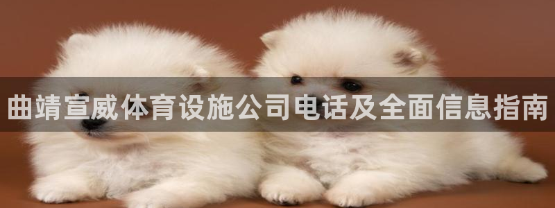 意昂平台体育：曲靖宣威体育设施公司电话及全面信息指南 