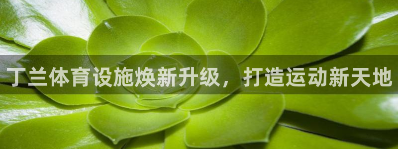 意昂体育3招商电话是多少号码：丁兰体育设施焕新升级，打造运动 