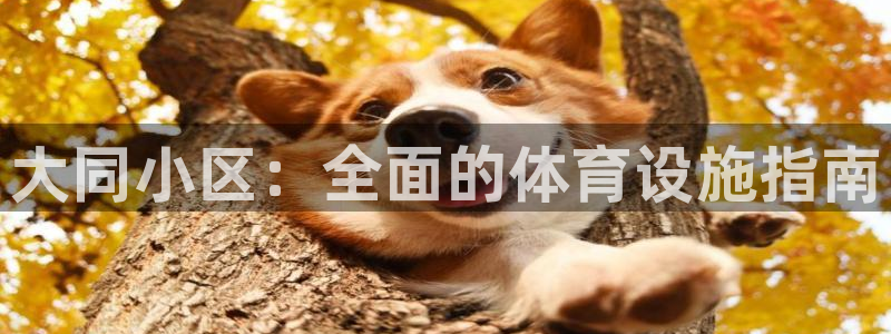 意昂体育3软件：大同小区：全面的体育设施指南 