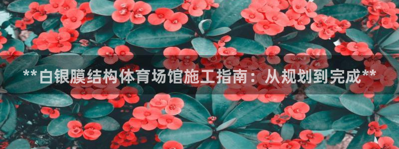 意昂体育3平台假的吗是真的吗：**白银膜结构体育场馆施工指南