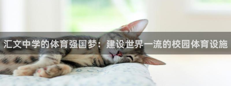 意昂平台体育