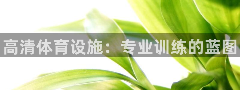 意昂3集团官网网址：高清体育设施：专业训练的蓝图