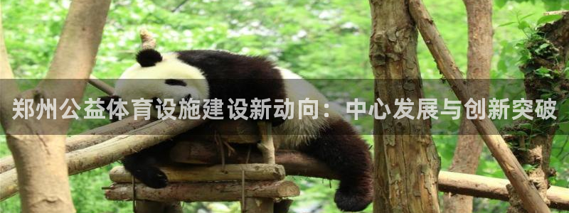 意昂体育3平台假的吗是真的吗：郑州公益体育设施建设新