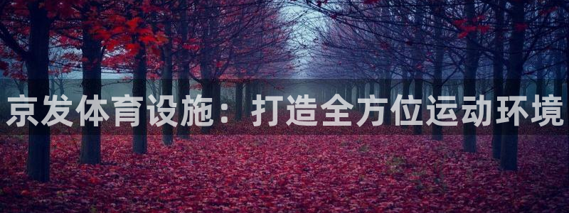 意昂3娱乐代理怎么样：京发体育设施：打造全方位运动环