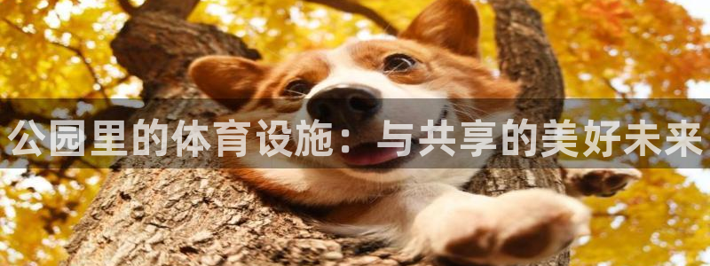 意昂3集团官网首页：公园里的体育设施：与共享的美好未