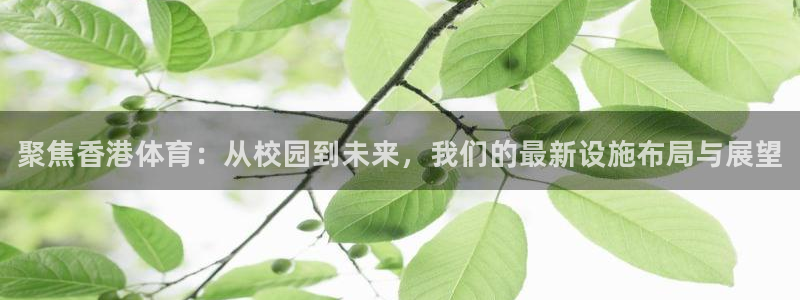 意昂3开户：聚焦香港体育：从校园到未来，我们的最新设