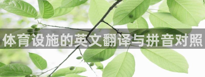 意昂体育3平台注册要钱吗是真的吗：体育设施的英文翻译与拼音对