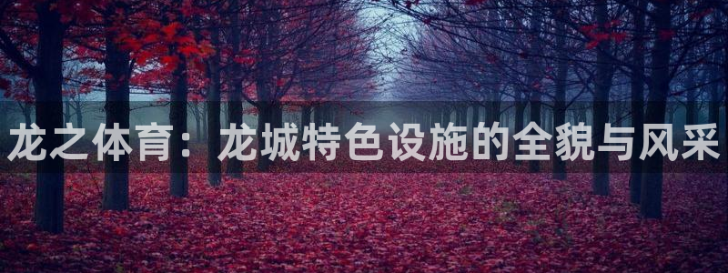 意昂体育3招商电话号码查询：龙之体育：龙城特色设施的全貌与风