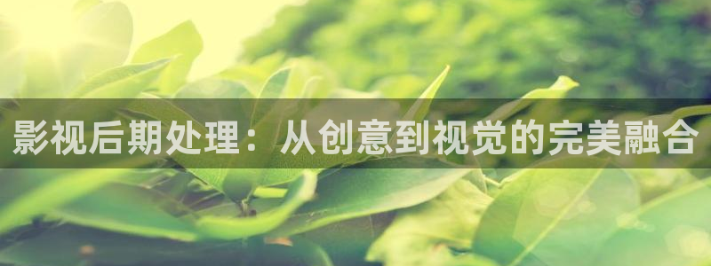 日本电影悠久影院：影视后期处理：从创意到视觉的完美融合