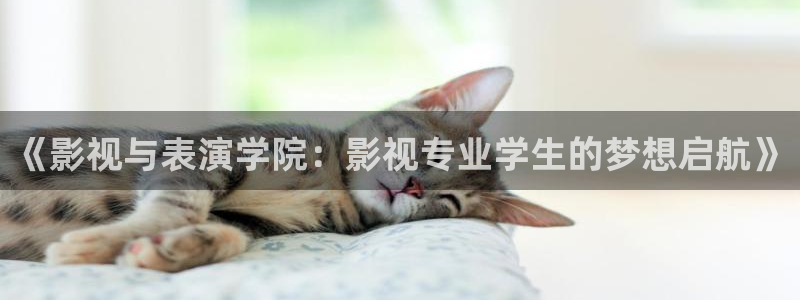 悠久影院在线：《影视与表演学院：影视专业学生的梦想启航》