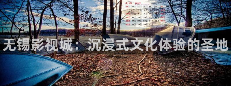 伊人悠久影院：无锡影视城：沉浸式文化体验的圣地