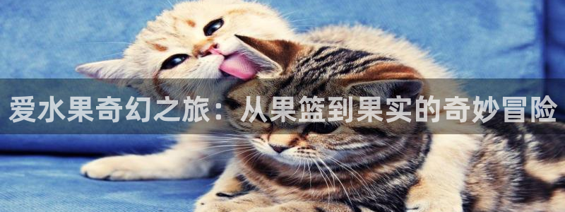 悠久影院电影免费大全